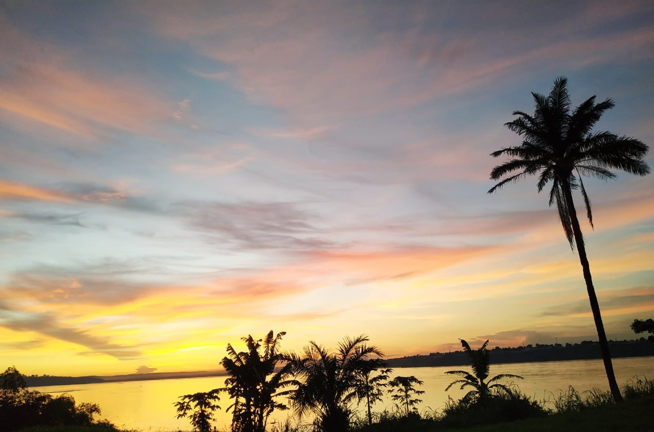 Coucher de soleil sur le fleuve Congo, palmiers en silhouette